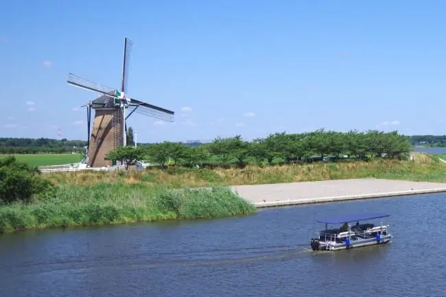 千叶县佐仓市“风车向日葵花园”开跑！