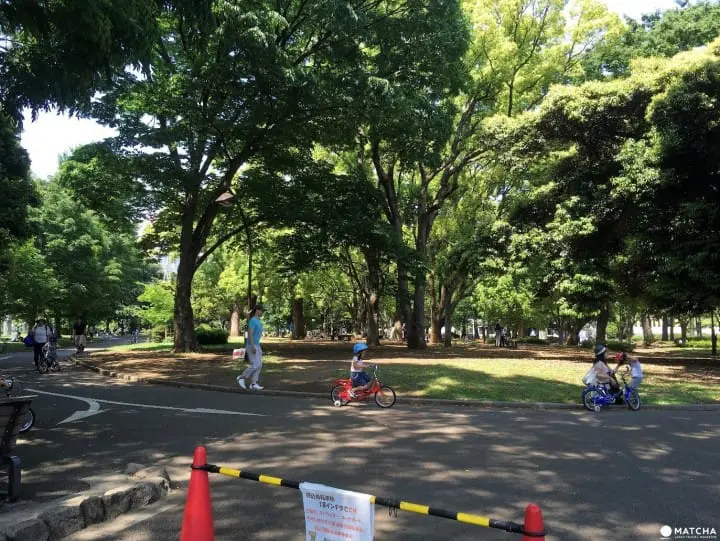 Komazawa Olympic Park Chinrinrin Bike Course