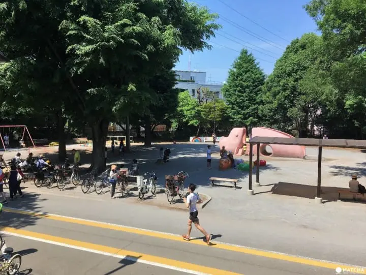 Komazawa Olympic Park Buta Park