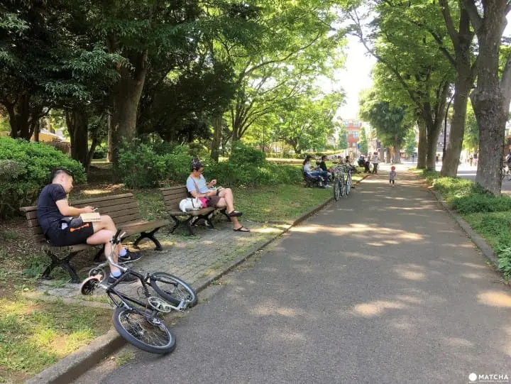Komazawa Olympic Park Benches