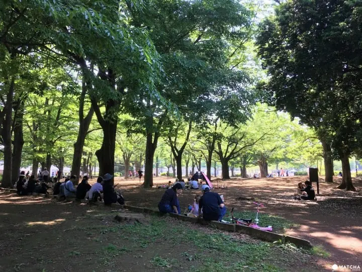 Komazawa Olympic Park Center Grounds