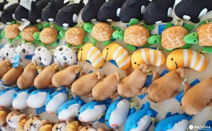 【福岡】與可愛的海洋動物近距離接觸吧！海之中道-海洋世界MARINE WORLD