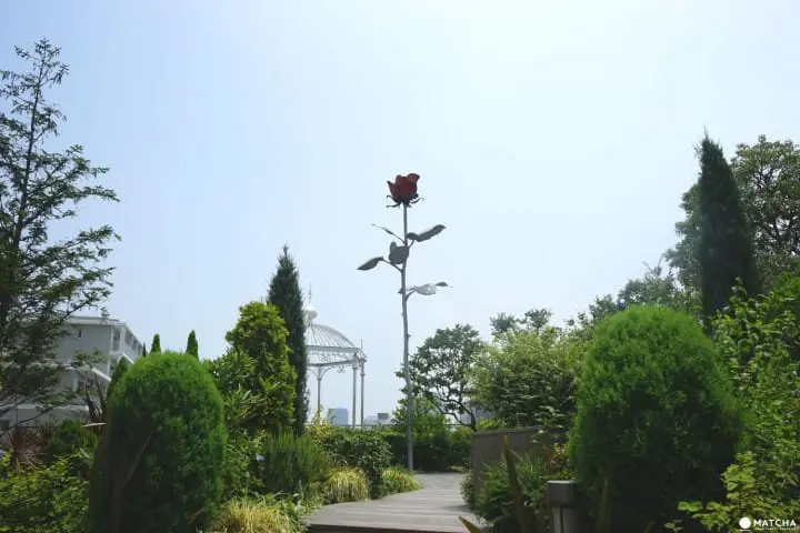 Roppongi Cheap Visits: 6 Activities Under a 1000 yen