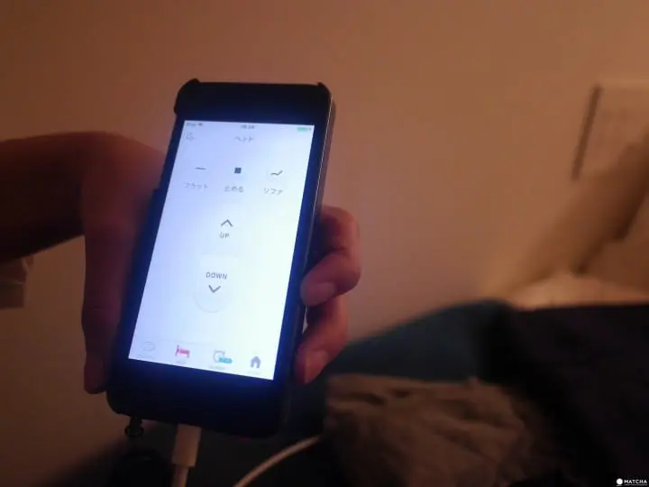 THE MILLENNIALS KYOTO ipod