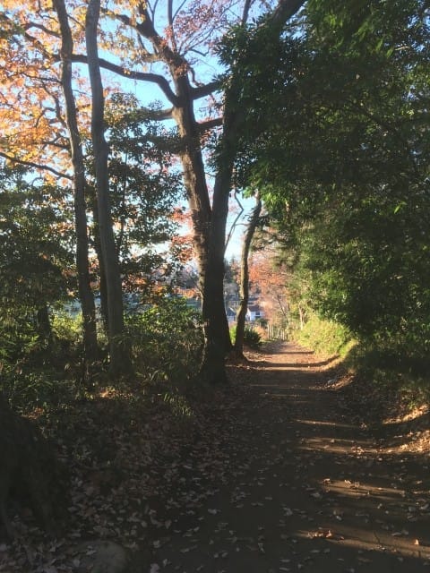 跟着吉卜力玩日本!动画电影取景地攻略