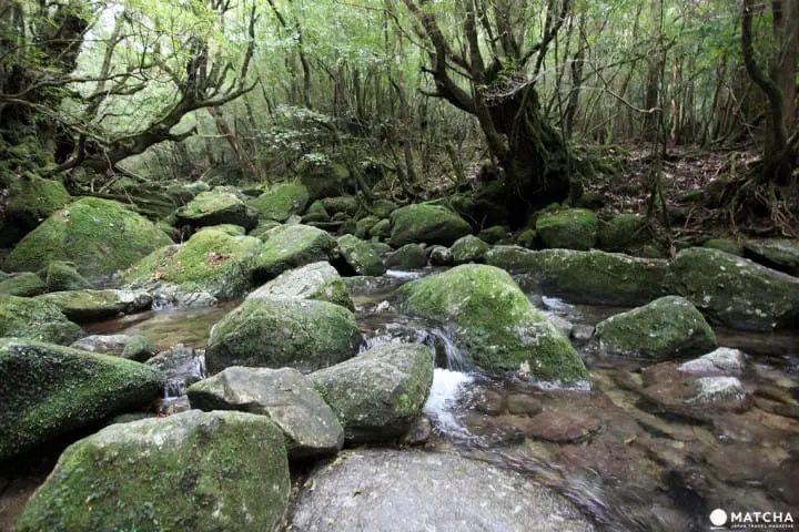 跟著吉卜力玩日本！動畫電影取景地攻略