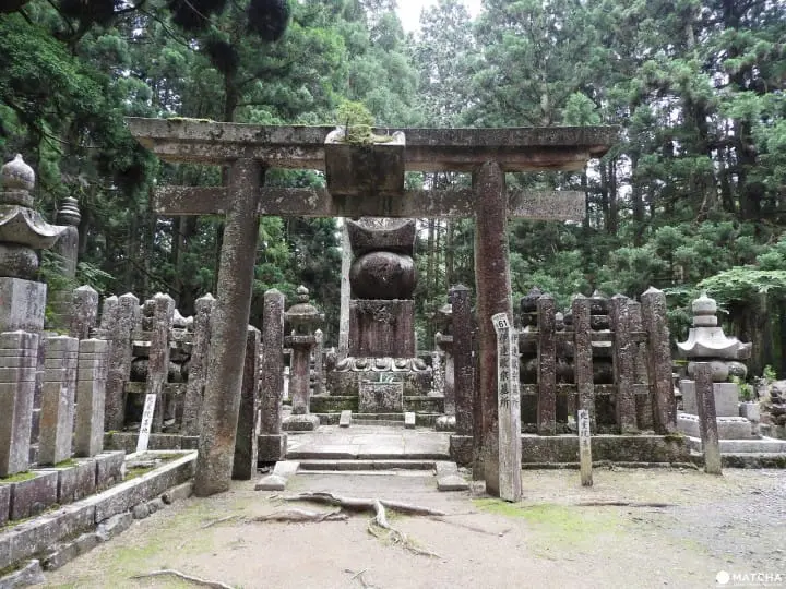 【和歌山縣】來去擁有1200年歴史的日本佛教聖地、高野山！