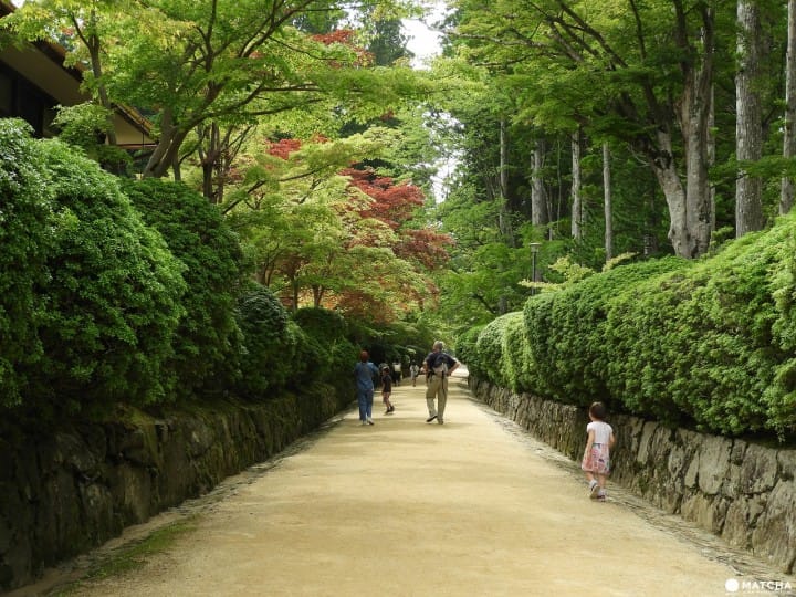 【和歌山縣】來去擁有1200年歴史的日本佛教聖地、高野山!