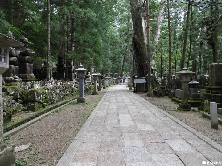 Mount Koya
