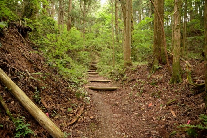 【和歌山県】聖地・高野山を訪れるのに役立つ、お得情報!