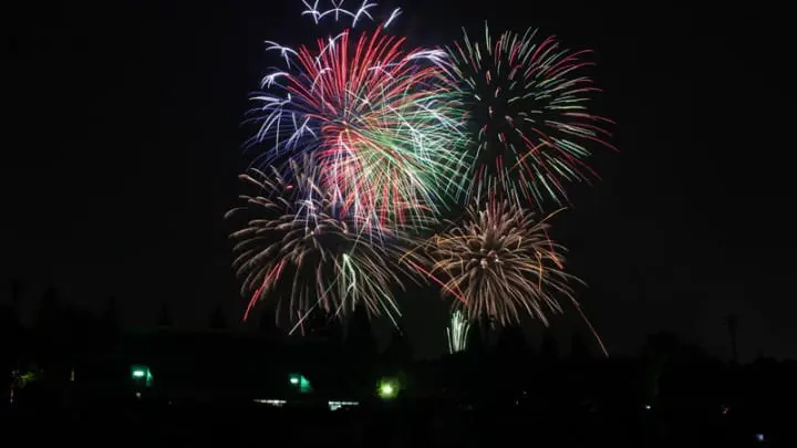 東京必看花火！第40回「東京隅田川花火大會」7/29(六)絢爛登場！