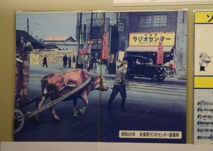 The History Of Japan Part 3: From The Edo Era To Today