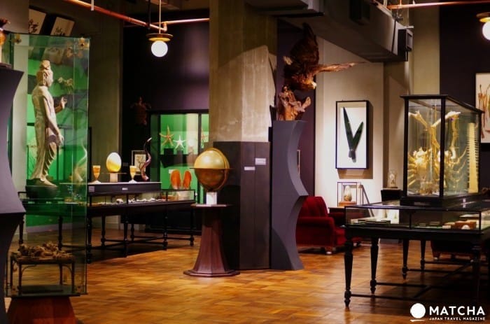 10 Japanese Phrases to Use at Museums and Sightseeing Spots