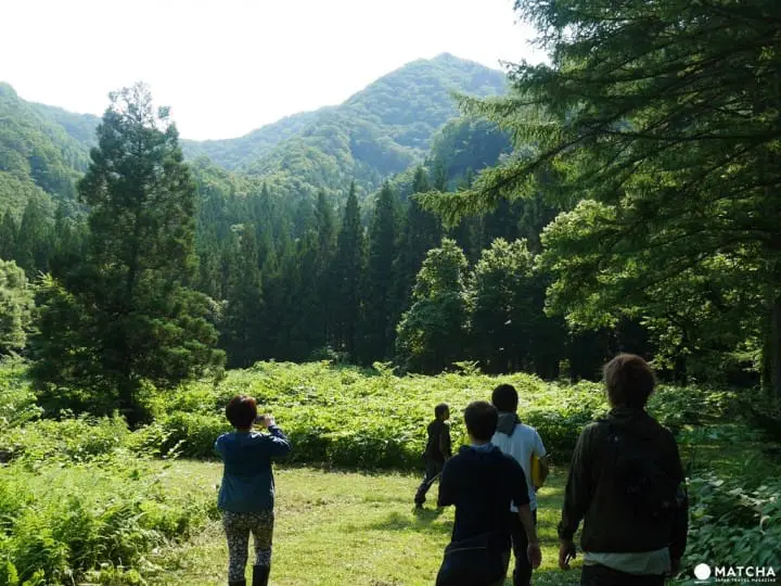 由雪而來的新生，絕景鐵路、溫泉雪燈的岩手西和賀町