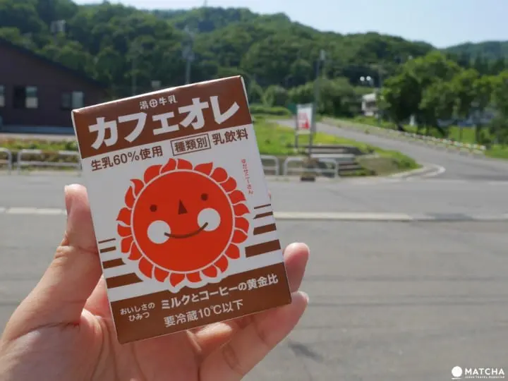 由雪而來的新生，絕景鐵路、溫泉雪燈的岩手西和賀町