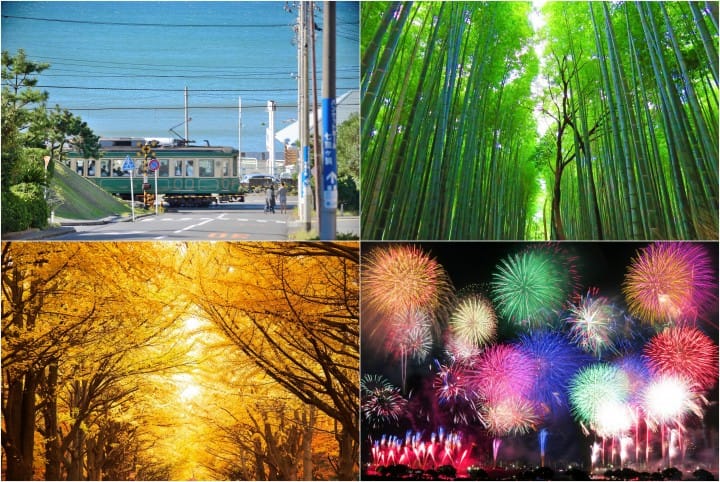About MATCHA