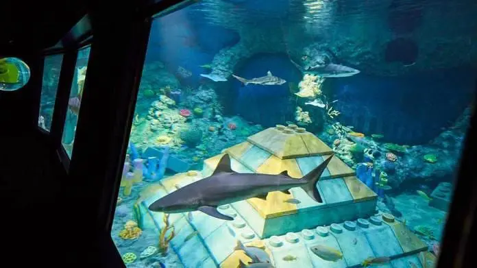 直击名古屋乐高乐园！必玩必吃全攻略！