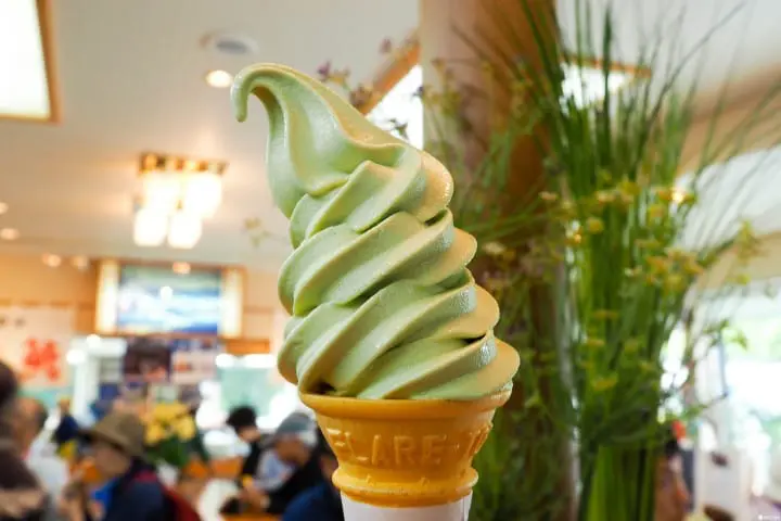 什麼！？這也能做成冰淇淋？超乎想像的日本冰淇淋