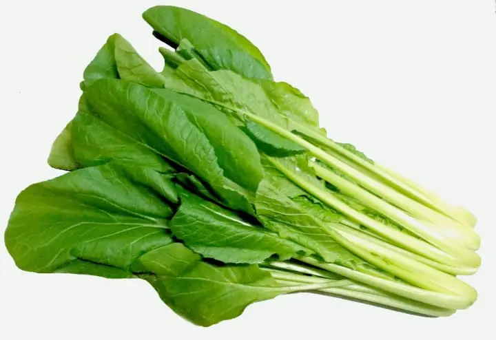 什麼！？這也能做成冰淇淋？超乎想像的日本冰淇淋