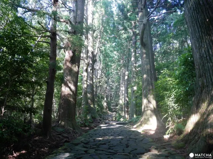 【和歌山】世界遗产熊野三山，“熊野那智大社”与山林间的飞瀑“那智瀑布”