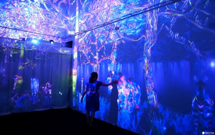 Become An Artist Baitoru Presents Teamlab Jungle And Future Park Matcha Japan Travel Web Magazine