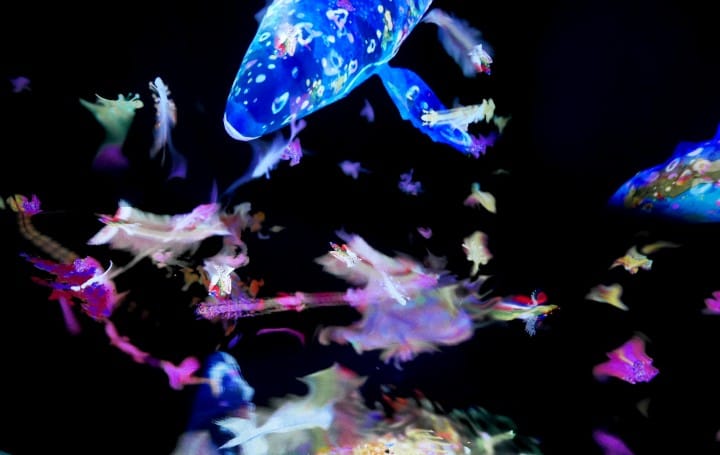 Become An Artist Baitoru Presents Teamlab Jungle And Future Park Matcha Japan Travel Web Magazine