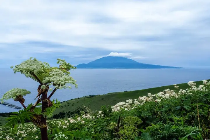 跑到日本最北端！北海道梦幻跳岛旅行：利尻岛、礼文岛景点推荐
