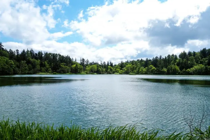 跑到日本最北端！北海道梦幻跳岛旅行：利尻岛、礼文岛景点推荐