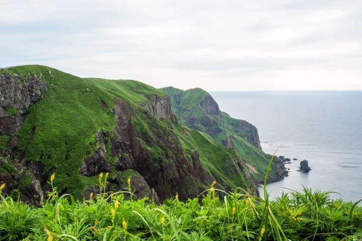 跑到日本最北端!北海道梦幻跳岛旅行:利尻岛、礼文岛景点推荐