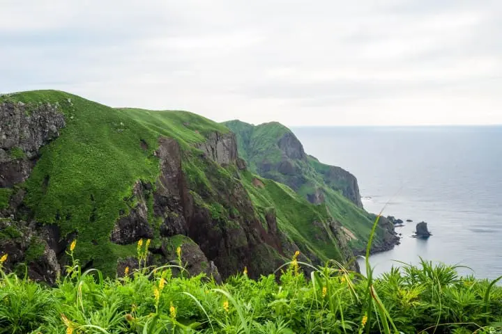 跑到日本最北端！北海道梦幻跳岛旅行：利尻岛、礼文岛景点推荐