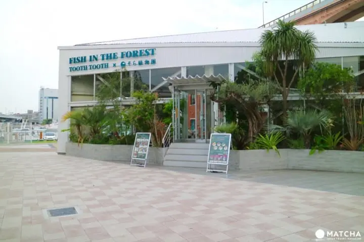 神户的地标公园“美利坚公园”可以这么玩