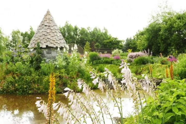 紫色北海道！擁抱富良野薰衣草花海！初心者的夏季北海道攻略