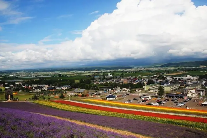 紫色北海道！擁抱富良野薰衣草花海！初心者的夏季北海道攻略