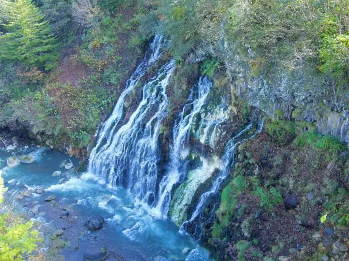 紫色北海道！擁抱富良野薰衣草花海！初心者的夏季北海道攻略