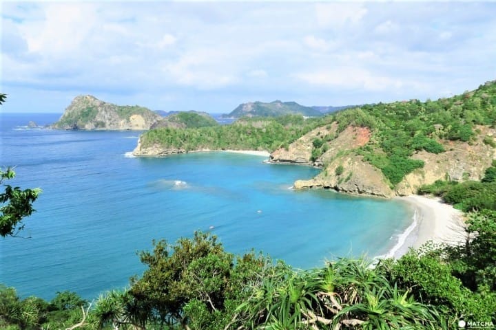 世界自然遺產「小笠原諸島」,尚未被開發的人間仙境