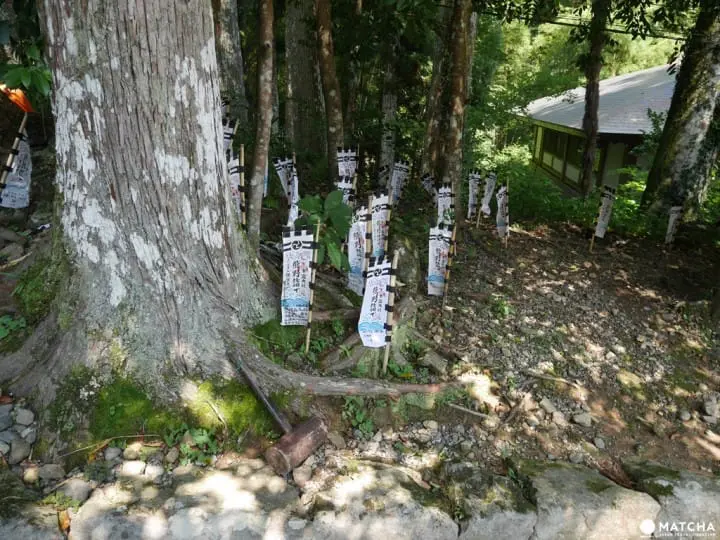 【和歌山】世界遺產熊野三山，靈魂終點生命起點「熊野本宮大社」