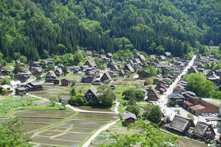 Shirakawago