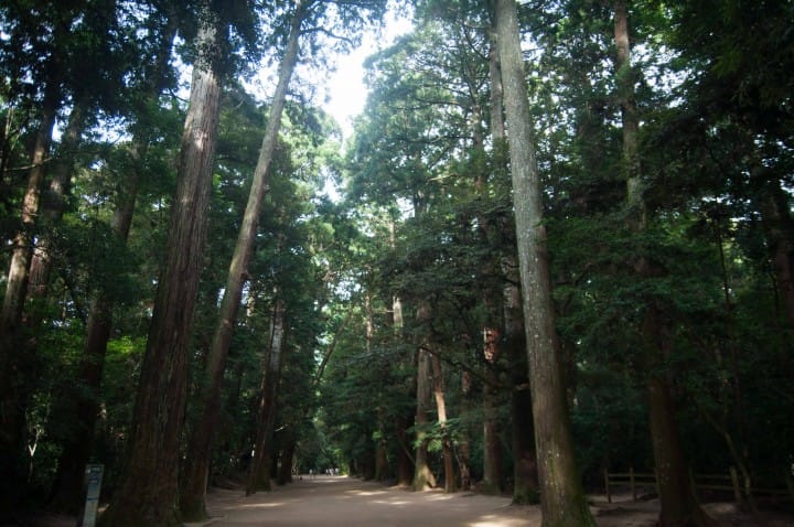 感受歷史文化・潮来、鹿嶋一日遊