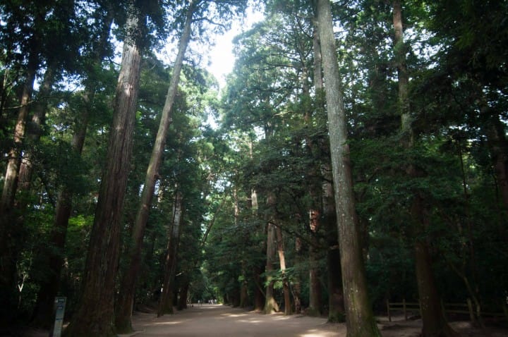  感受歷史文化・潮来、鹿嶋一日遊