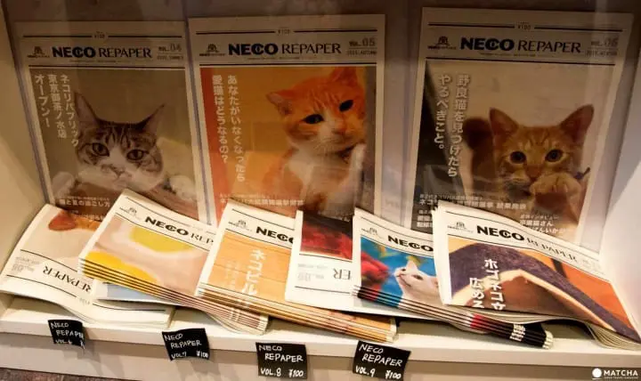 cat newsletter neco repaper at neco republic ikebukuro