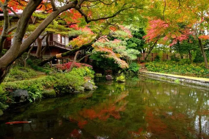  東京另一面 – 感受書卷氣息 + 探訪棒球殿堂