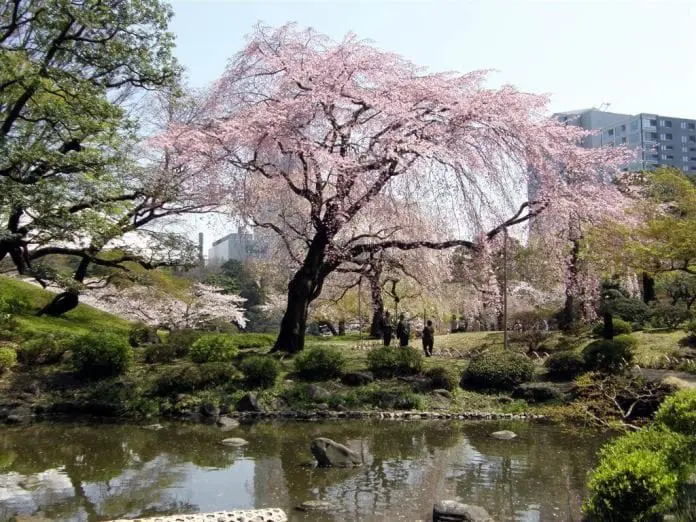  東京另一面 – 感受書卷氣息 + 探訪棒球殿堂