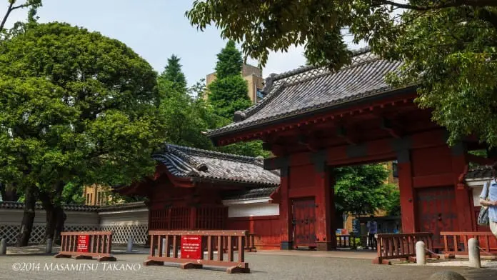  東京另一面 – 感受書卷氣息 + 探訪棒球殿堂