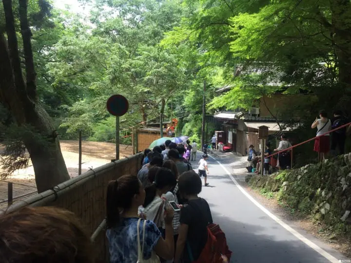 京都夏天必訪-貴船流水涼麵