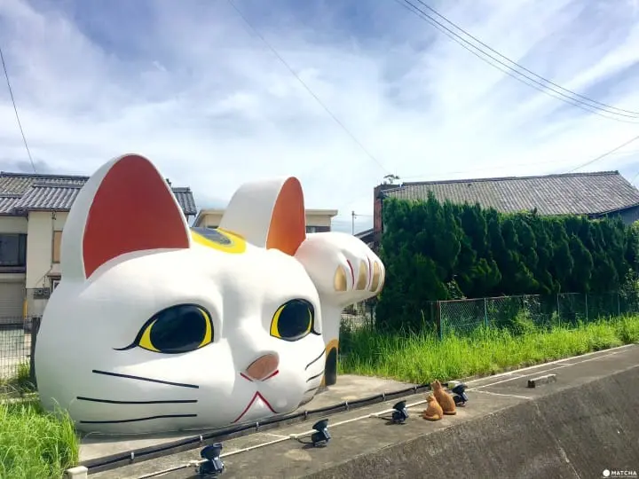 常滑巨大招財貓