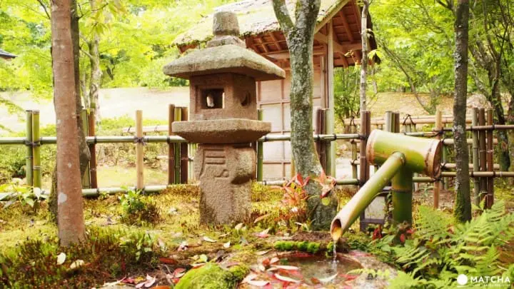 福岡八女市-茶的文化館茶室造景