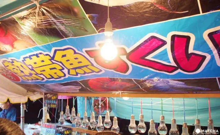 必吃必玩屋台-撈熱帶魚