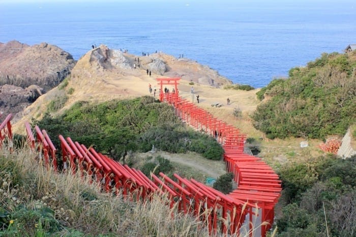 「稻荷神社」千本鳥居的秘密,狐狸坐鎮的庶民信仰