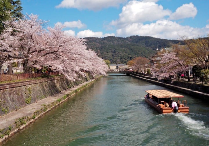 【京都賞櫻】岡崎區櫻花名所,谷崎潤一郎讚嘆的平安神宮、蹴上鐵道