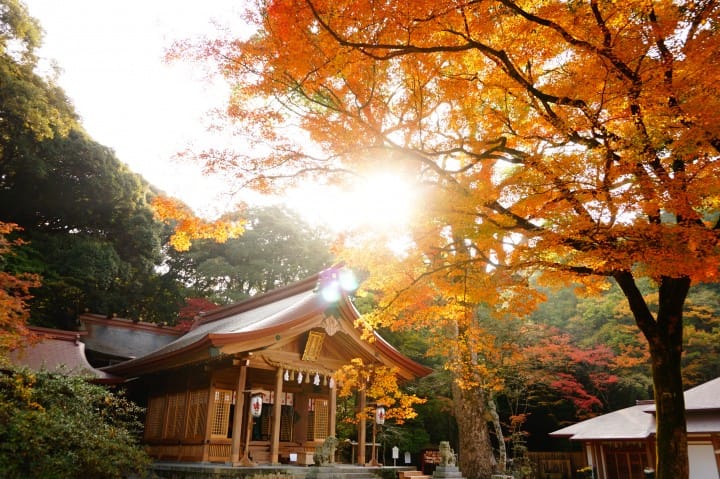 竈門神社